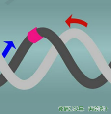 Primer Primer6 软件安装教程+安装包